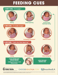 BreastfeedLA Feeding Cues Posters BreastfeedLA Feeding Cues Posters
